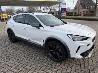 Cupra Formentor 2.0 -180 Kw Automaat VZ picture 7