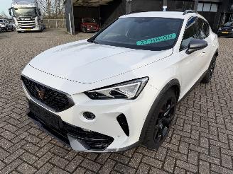 Cupra Formentor 2.0 -180 Kw Automaat VZ picture 2