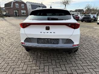Cupra Formentor 2.0 -180 Kw Automaat VZ picture 16