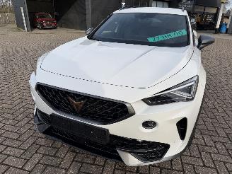 Cupra Formentor 2.0 -180 Kw Automaat VZ picture 3