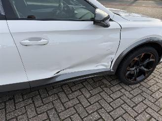 Cupra Formentor 2.0 -180 Kw Automaat VZ picture 23