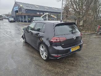 Volkswagen Golf 2.0 R 4Motion picture 2