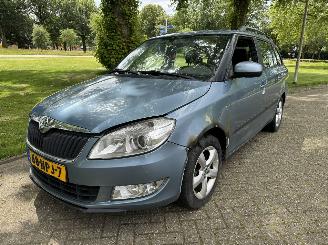 Schadeauto Skoda Fabia 1.2 2010/1