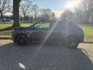 Citroën C4 cactus  picture 2