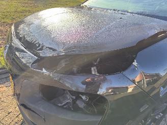 Citroën C4 cactus  picture 12