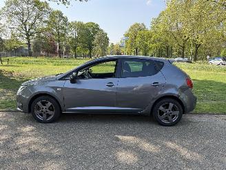 Seat Ibiza Fr picture 2