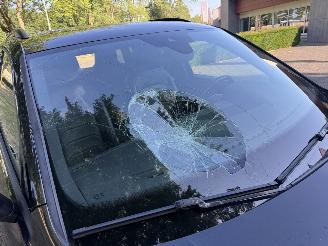 Volkswagen Tiguan  picture 10
