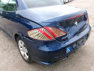 Peugeot 307 1.6 CC - Cabrio picture 12
