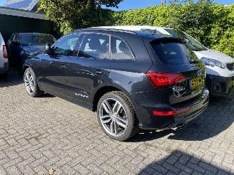 Audi SQ5 3.0 TSFI Quattro picture 27