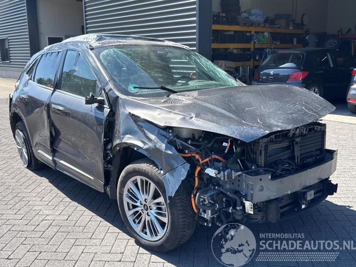 Ford Kuga Kuga III (DFK), SUV, 2019 2.5 PHEV 16V