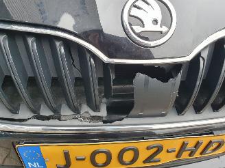 Skoda Octavia 1.0 TSI Greentech Business Edition picture 11