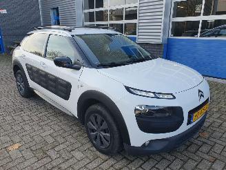 Citroën C4 cactus 1.6 BlueHDi Shine SCHADEVRIJ picture 8