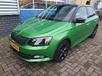 skadebil auto Skoda Fabia 1.0 TSI Clever 2018/5