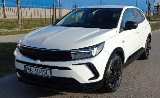 škoda osobní automobily Opel Grandland 1.6 Automaat Hybrid 2023/11