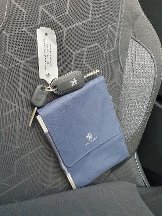 Peugeot 2008 1.2 PureTech Blue Lion picture 27