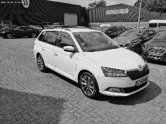 Damaged car Skoda Fabia 1.0 TSI BUS. EDITION 2021/6