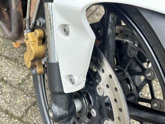 Triumph Speed Triple 675 picture 10