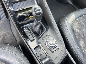 BMW X1 SDRIVE18I Centennial High Executive picture 24