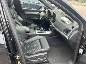 Audi SQ5 Sportback 3.0 TDI SQ5 Quattro picture 11