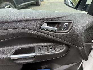 Ford C-Max 2.0 Plug-in Hybrid Titanium Plus (MPV 5-dr.) picture 20