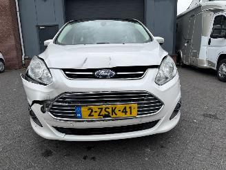 Ford C-Max 2.0 Plug-in Hybrid Titanium Plus (MPV 5-dr.) picture 13