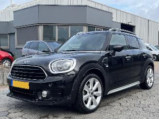 Avarii autoturisme Mini Countryman 1.5 Chili 2018/9