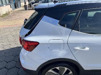 Seat Arona 1.0 TSI FR Business Intense picture 13