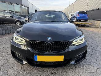 BMW 2-serie Cabrio 220i Centennial High Executive picture 2