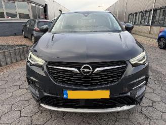 Opel Grandland X 1.2 Turbo Business Executive picture 2