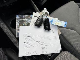 Skoda Enyaq iV 80 Business Edition Plus picture 13