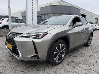skadebil auto Lexus UX 250h Preference Line 2021/1