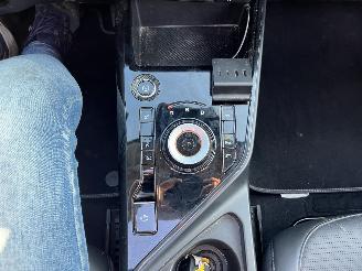 Kia Niro EV DynamicPlusLine 64.8 kWh picture 22