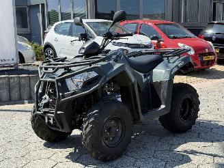 krockskadad bil overig Kymco  QUAD MX4300 2024/11