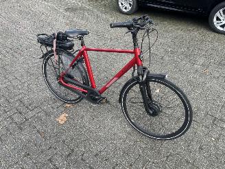 Avarii biciclete Stella  VICENZA.  ELECTRISCH 2023/1