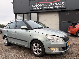 Schadeauto Skoda Fabia 1.2 TDI Greenline AIRCO 2010/10