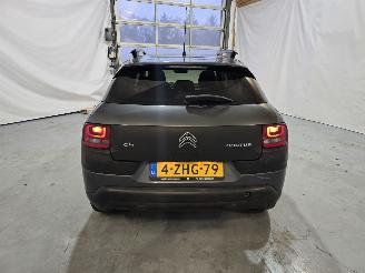 Citroën C4 cactus 1.2 PureTech Shine picture 6