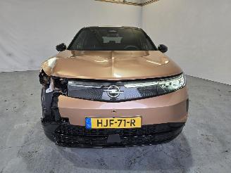 Opel Grandland GS 73 kWh picture 2