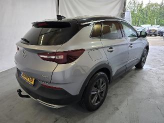 Opel Grandland X picture 7