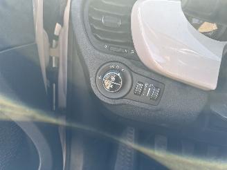 Fiat 500X 1.4 T M-Air Lounge picture 33
