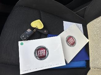 Fiat 500X 1.4 T M-Air Lounge picture 28