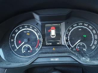 Skoda Octavia 2.0 Tdi RS Motorschade picture 26
