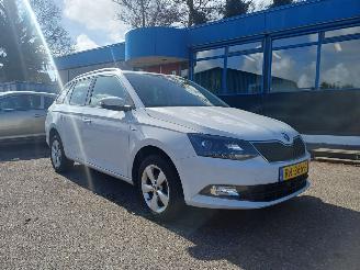 Schadeauto Skoda Fabia Ambition 2018/2