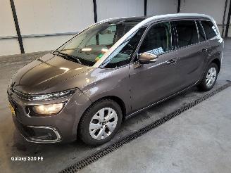 Coche accidentado Citroën Grand C4 Picasso 1.6 HDi 88-KW 6-Bak BLUE 7-Persoons 2017/4