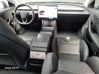 Tesla Model 3 Dual Motor Long Range 366-KW Automaat AWD picture 19