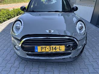 Mini Cooper Pepper Serious Business picture 5