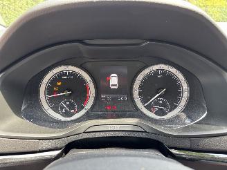 Skoda Karoq 1.0 Tsi Style Business picture 13