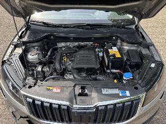 Skoda Karoq 1.0 Tsi Style Business picture 17