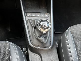 Hyundai I-20 N 200PK NAVI / CRUISE / CAMERA / BOSE picture 16