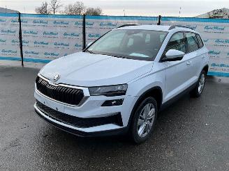 Skoda Karoq 1.5 TSi (110 KW) Automaat + Dig. Cockpit + NAV picture 1
