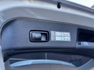 Mercedes ML 250 BlueTEC AMG Panoramadak picture 30